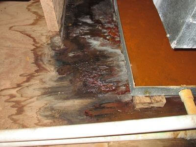 About water damage restoration service - basement flood restoration services experts in Denver